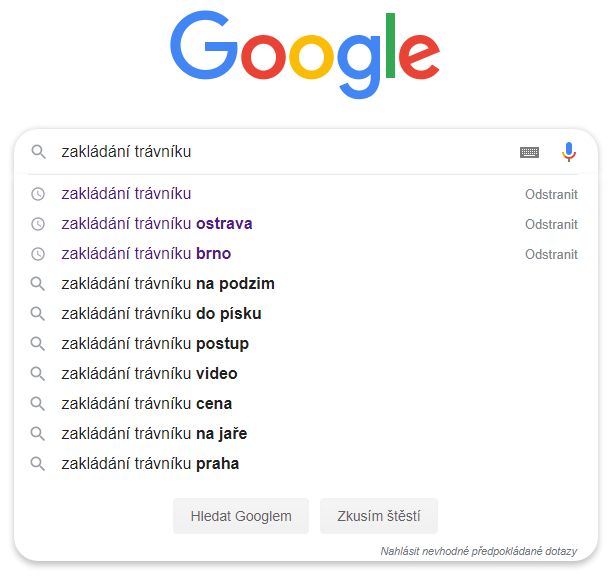 Google - zadání dotazu Google - zadání dotazu